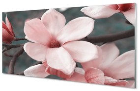 Sklenený obraz ružové kvety 140x70 cm