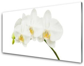 Sklenený obklad Do kuchyne Orchidea výhonky kvety príroda 140x70 cm