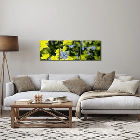 Obraz - javorové listy (s hodinami) (90x30 cm)