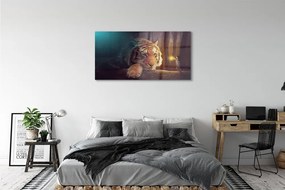 Obraz na akrylátovom skle Tiger woods muž 125x50 cm