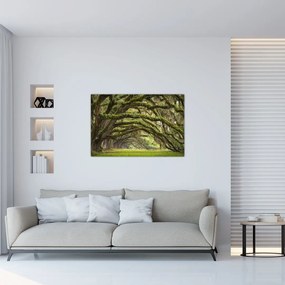 Obraz - Oaks Avenue, Charleston, Južná Karolína, USA (90x60 cm)