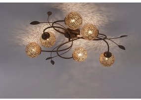 Paul Neuhaus 6398-48 - Prisadený luster GRETA 6xG9/40W/230V