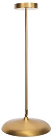 Toolight Toolight, LED stropné svietidlo APP1281-CP Gold, zlatá lesklá, OSW-05183