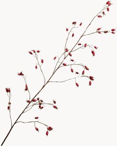 Ručne vyrobené rastlinné dekorácie Rosehip, 2 ks