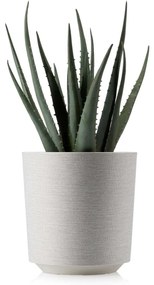 PLASTOVÝ KVETINÁČ ALOE TX 19,5X20 CM KRÉMOVÁ