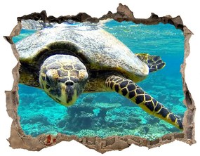 Díra 3D fototapeta nálepka Morská korytnačka nd-k-83762438
