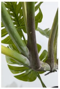 KARE DESIGN Dekoratívna rastlina Monstera 110 cm 110 × 50 × 40 cm