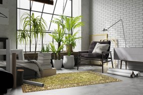 Sintelon, Kusový koberec SOLID 55 APA, 240x340, zelená, chodba / predsieň