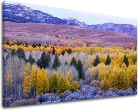 Obraz na stenu KRAJINA KR016E11