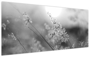 Obraz - Jesenná lúka (120x50 cm)
