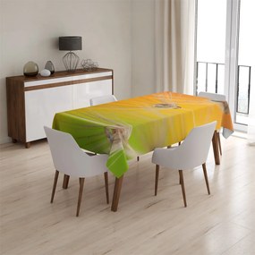 Sablio Obrus Odkvitnuté púpavy 2 - 130x130 cm