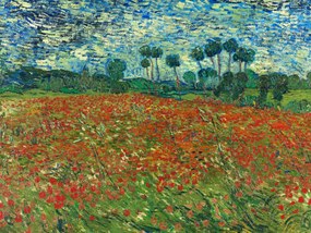 Umelecká tlač Poppy Fields - Vincent van Gogh, (40 x 30 cm)