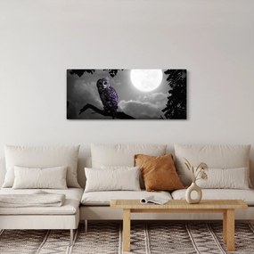 Obraz - Nočná sova, fialová sova (120x50 cm)