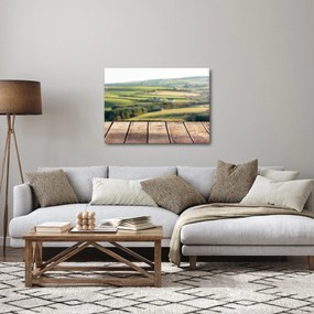 Obraz - Výhľad na krajinu (70x50 cm)