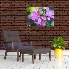 Detailný sklenený obraz kvetiny (70x50 cm)