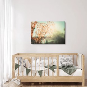 Obraz - Lúčne rastliny (90x60 cm)