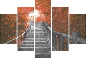 Obraz - Schody v prírode, oranžová (150x105 cm)