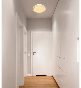 Globo 41749-12 - LED Stropné svietidlo OVI LED/12W/230V