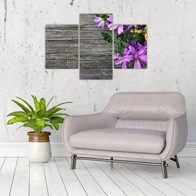 Obraz - lúčne kvety (90x60 cm)