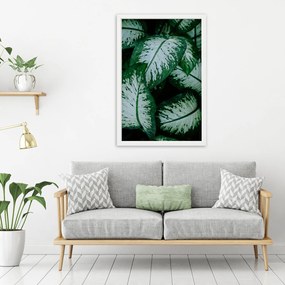 Gario Plagát Zelené tropické rastliny Farba rámu: Bez rámu, Rozmery: 40 x 60 cm