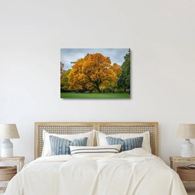 Sklenený obraz stromu (70x50 cm)