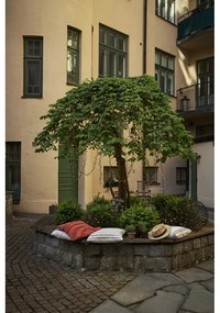 Svetelná reťaz Star Trading LED, dĺžka 16 m