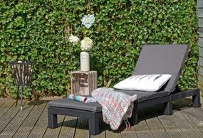 InternetovaZahradaplast Záhradné lehátko DAYTONA - grafit
