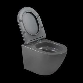 Invena Tavro, závesná misa 490x360x350 mm + WC sedadlo, QFS, šedá, INV-CE-71-007-Y