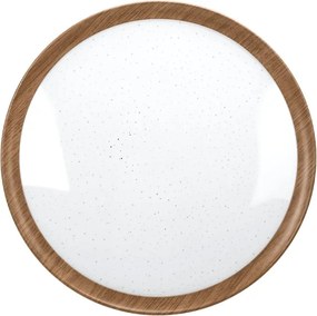 BRILAGI - LED stropné svietidlo NATURA LED/12W/230V 4000K pr. 26,3 cm