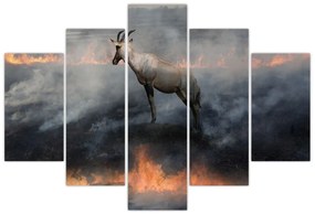 Obraz kamzíka v ohni (150x105 cm)