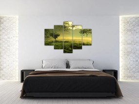 Obraz - Prebúdzajúci sa les (150x105 cm)
