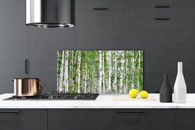Nástenný panel  Breza les stromy príroda 100x50 cm