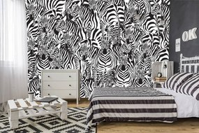 Fototapeta - Zebra (254x184 cm)