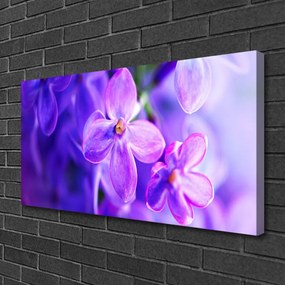 Obraz Canvas Fialové kvety príroda 140x70 cm