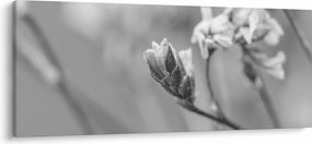 Obraz - Rozkvitnutý kvet (120x50 cm)