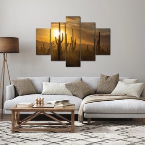 Obraz - Kaktusy Saguaro (150x105 cm)