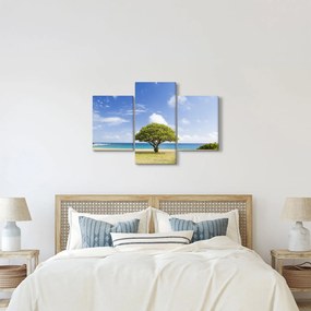 Obraz pláže so stromom (90x60 cm)