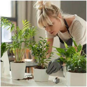 LED stmievateľná stolná lampa na pestovanie rastlín VERDI LED/5W/5V 1300K čierna