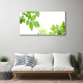 Skleneny obraz Plátky rastlina príroda 100x50 cm
