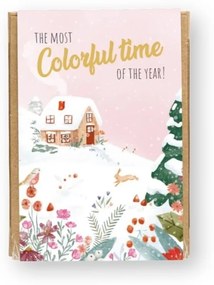 Blossombs Vianočná sada semienok divokých kvetov Winter Landscape – 4 ks