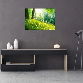 Sklenený obraz - Magická lúka plná púpav (70x50 cm)