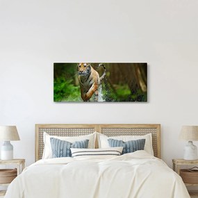 Obraz bežiaceho tigra (120x50 cm)