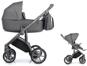 ROAN Bass Next steel grey 2v1