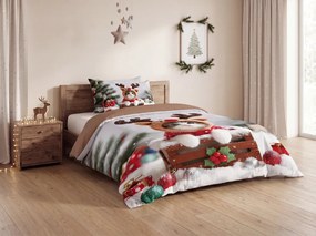 3D obliečky z mikrovlákna RUDOLPH KITTEN farebné Rozmer obliečky: 2 ks 70 x 90 cm | 140 x 200 cm