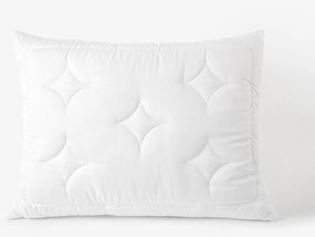 Goldea luxusný vankúš lyocell - 70 x 90 cm 70 x 90 cm