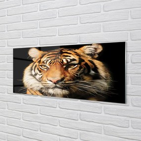 Obraz na akrylátovom skle Tiger 120x60 cm