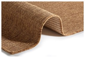 Hnedý vnútorný a vonkajší koberec 80x150 cm Nature – Hanse Home