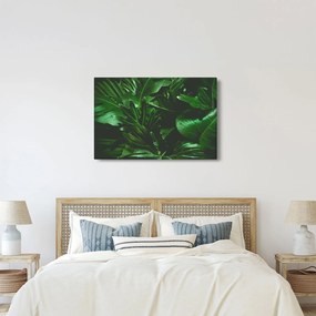 Obraz - Palmové listy (90x60 cm)