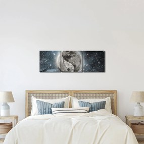 Obraz - Vesmírna rovnováha (s hodinami) (90x30 cm)