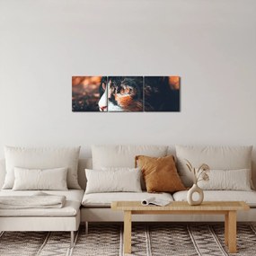 Obraz - Pohľad mačky (s hodinami) (90x30 cm)